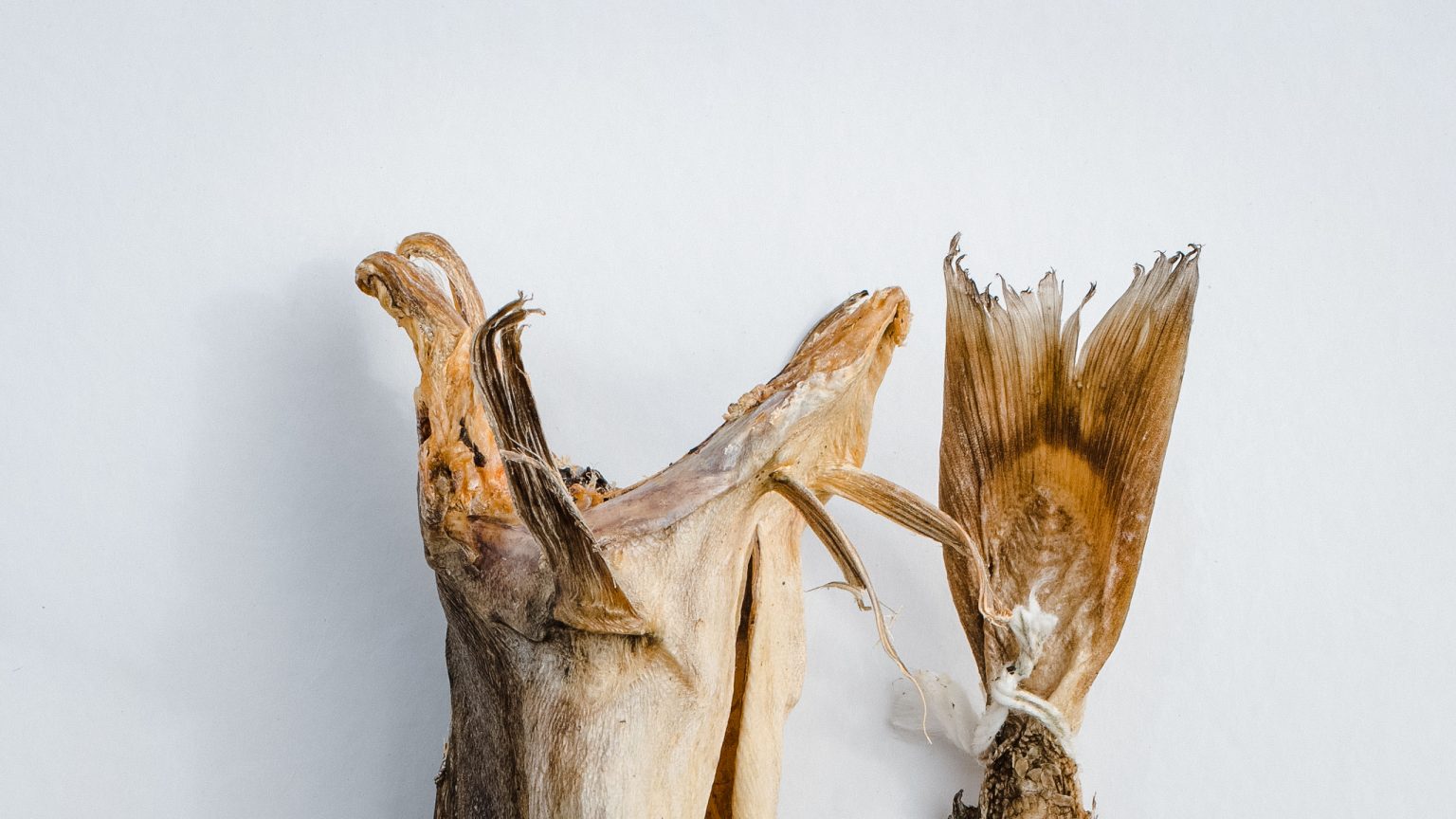 Dried fish all year round